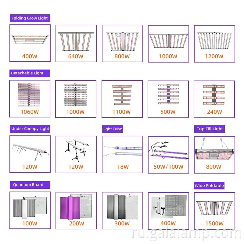 Выращивать светодиодное освещение для впечатляющего крытого растения фотосинтеза